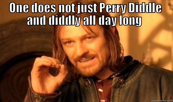  ONE DOES NOT JUST PERRY DIDDLE AND DIDDLY ALL DAY LONG  Boromir