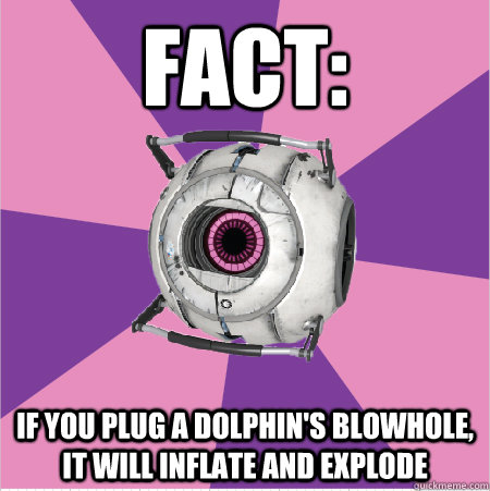 Fact: If you plug a dolphin's blowhole, it will inflate and explode  