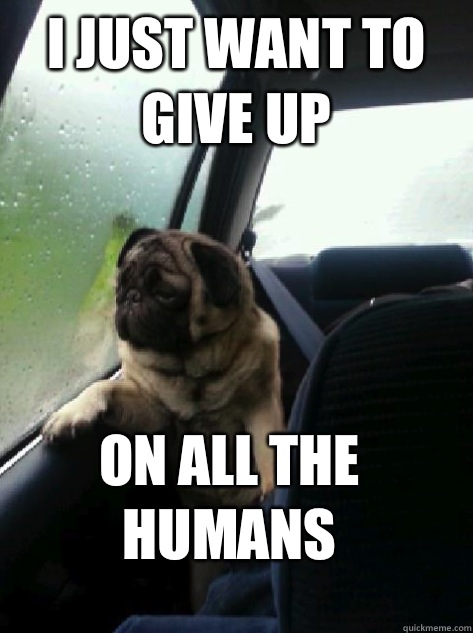 I just want to give up on all the humans  Introspective Pug