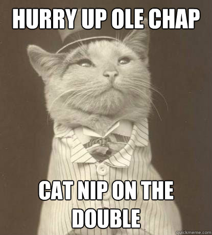 Hurry up Ole chap cat nip on the double   Aristocat