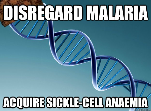 disregard malaria acquire sickle-cell anaemia  Scumbag Genetics