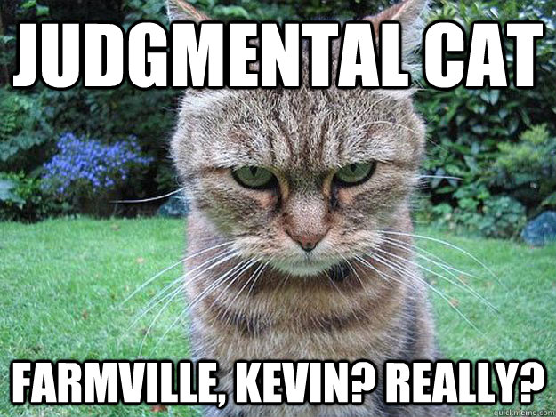 judgmental Cat Farmville, Kevin? Really?   