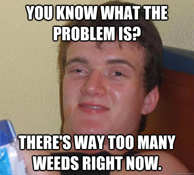 You know what the problem is? There's way too many weeds right now.  10 Guy