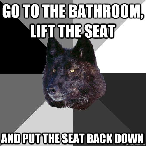 Go to the bathroom, Lift the seat and put the seat back down  Sanity Wolf