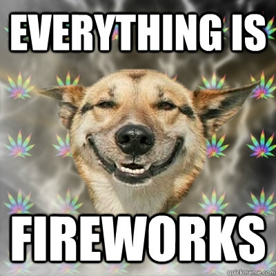 Everything is Fireworks  Stoner Dog