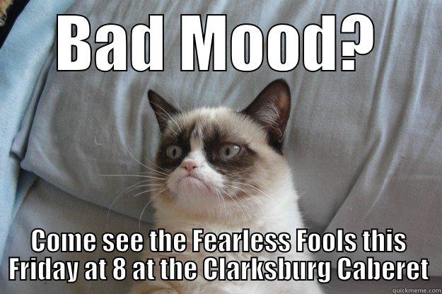 shameless plug - BAD MOOD? COME SEE THE FEARLESS FOOLS THIS FRIDAY AT 8 AT THE CLARKSBURG CABERET Grumpy Cat