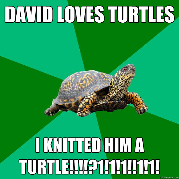 david loves turtles  i knitted him a turtle!!!!?1!1!1!!1!1!  Torrenting Turtle