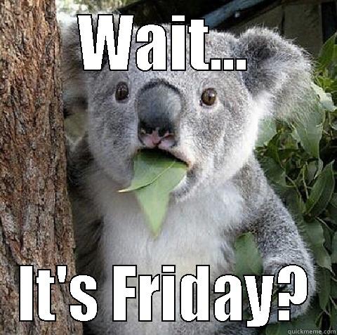 Whoa koala - WAIT... IT'S FRIDAY? Misc