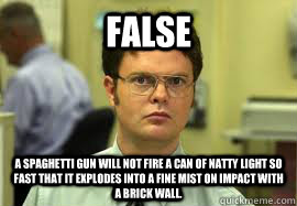 FALSE a Spaghetti gun will not fire a can of natty light so fast that it explodes into a fine mist on impact with a brick wall.  Dwight False