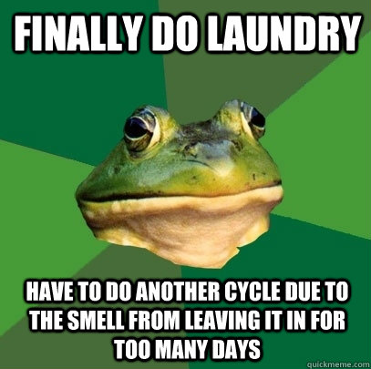 Finally do laundry Have to do another cycle due to the smell from leaving it in for too many days - Finally do laundry Have to do another cycle due to the smell from leaving it in for too many days  Foul Bachelor Frog