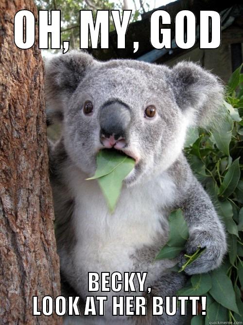 OH, MY, GOD BECKY, LOOK AT HER BUTT! koala bear