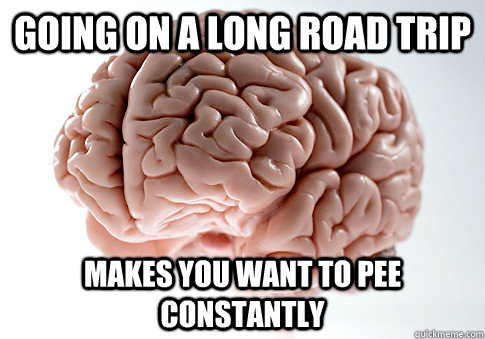 Going on a long road trip Makes you want to pee constantly   Scumbag Brain