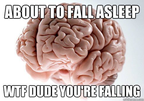 About to fall asleep WTF DUDE YOU'RE FALLING - About to fall asleep WTF DUDE YOU'RE FALLING  Scumbag Brain