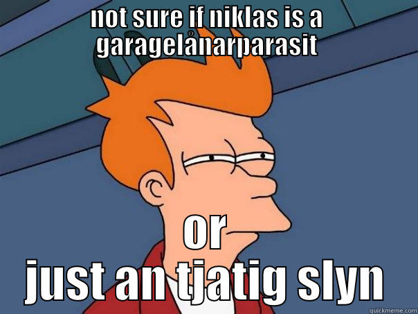 NOT SURE IF NIKLAS IS A GARAGELÅNARPARASIT OR JUST AN TJATIG SLYN Futurama Fry