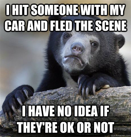 I hit someone with my car and fled the scene I have no idea if they're ok or not  Confession Bear