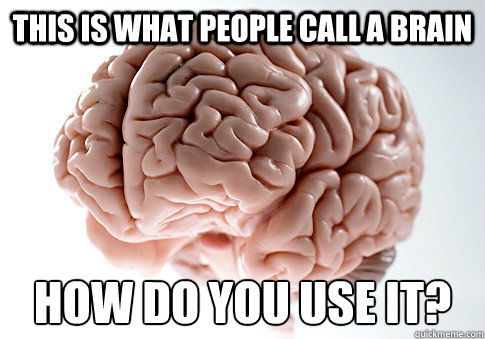 This is what people call a brain How do you use it? - This is what people call a brain How do you use it?  Scumbag Brain