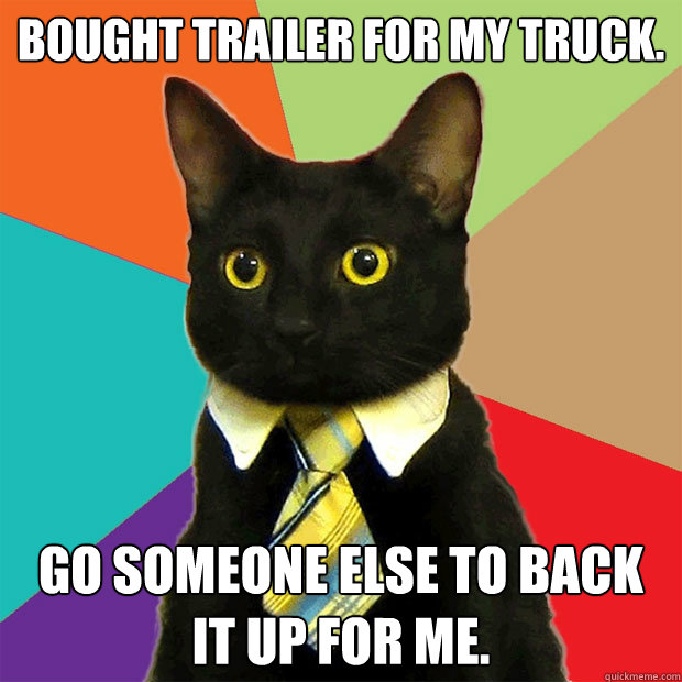 Bought trailer for my truck. Go someone else to back it up for me.  Business Cat