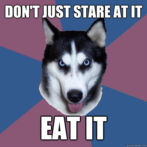 Don't just stare at it EAT IT  Creeper Canine