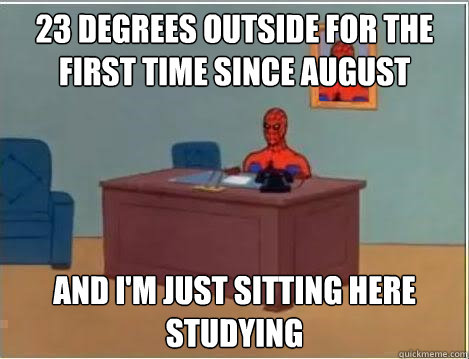 23 degrees outside for the first time since august and i'm just sitting here studying  Spiderman Desk