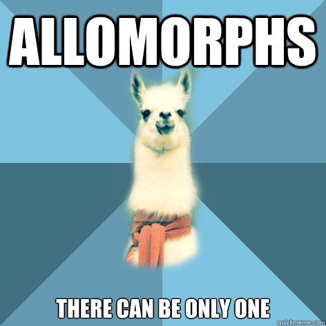 Allomorphs There can be only one  Linguist Llama