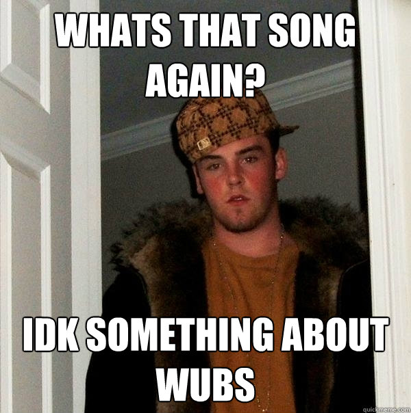 WHATS THAT SONG AGAIN? idk something about wubs  Scumbag Steve