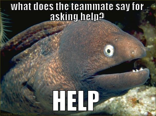 WHAT DOES THE TEAMMATE SAY FOR ASKING HELP? HELP Bad Joke Eel