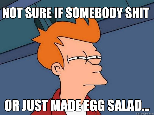 Not sure if somebody shit Or just made egg salad...  Futurama Fry