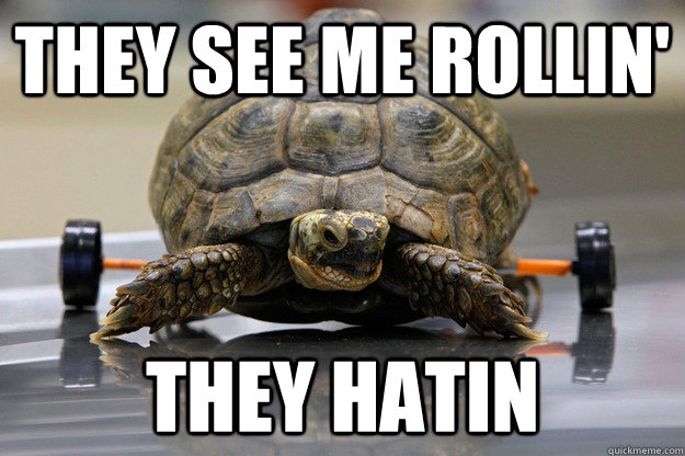 They see me rollin' They hatin - They see me rollin' They hatin  Misc