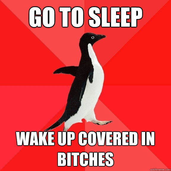 Go To sleep Wake up covered in bitches  Socially Awesome Penguin