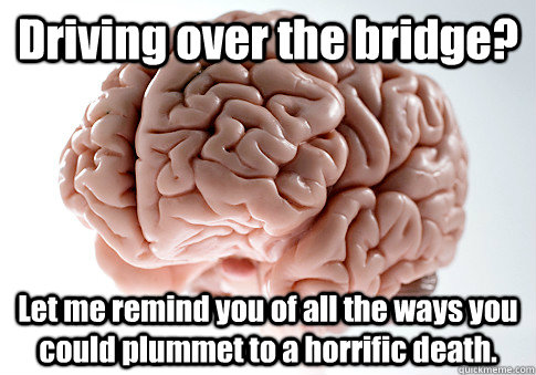 Driving over the bridge? Let me remind you of all the ways you could plummet to a horrific death.  Scumbag Brain