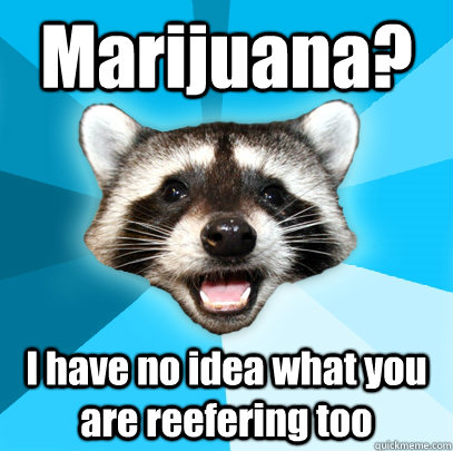 Marijuana? I have no idea what you are reefering too - Marijuana? I have no idea what you are reefering too  Lame Pun Coon