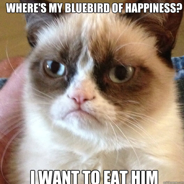 where's my bluebird of happiness? I want to eat him - where's my bluebird of happiness? I want to eat him  Misc