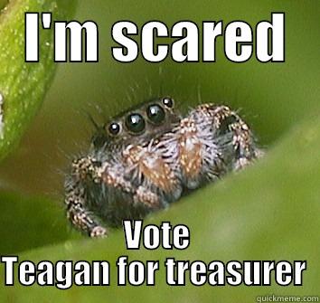   I'M SCARED    VOTE TEAGAN FOR TREASURER  Misunderstood Spider