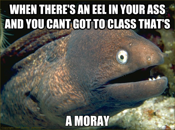 When there's an eel in your ass and you cant got to class that's A Moray - When there's an eel in your ass and you cant got to class that's A Moray  Bad Joke Eel