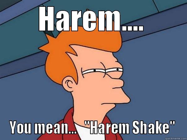 Harem Shake - HAREM.... YOU MEAN...   