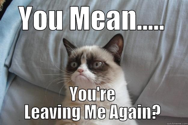 But Wait! - YOU MEAN..... YOU'RE LEAVING ME AGAIN? Grumpy Cat