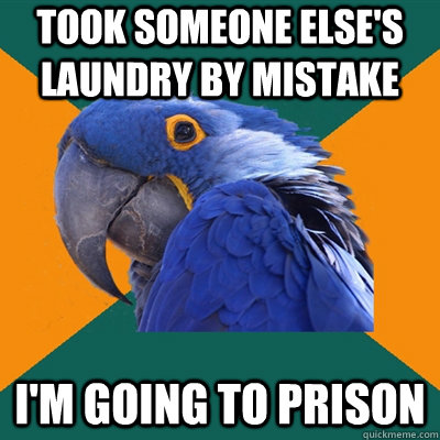 TOOK SOMEONE ELSE'S LAUNDRY BY MISTAKE I'M GOING TO PRISON  Paranoid Parrot