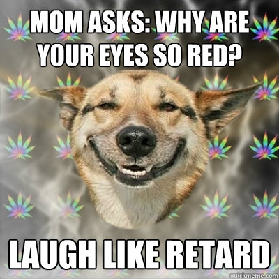 Mom asks: Why are your eyes so red? laugh like retard  Stoner Dog