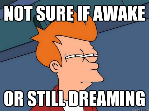 not sure if awake or still dreaming  Futurama Fry