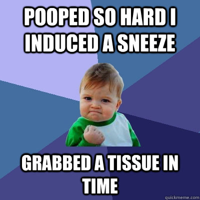 pooped so hard i induced a sneeze grabbed a tissue in time  Success Kid