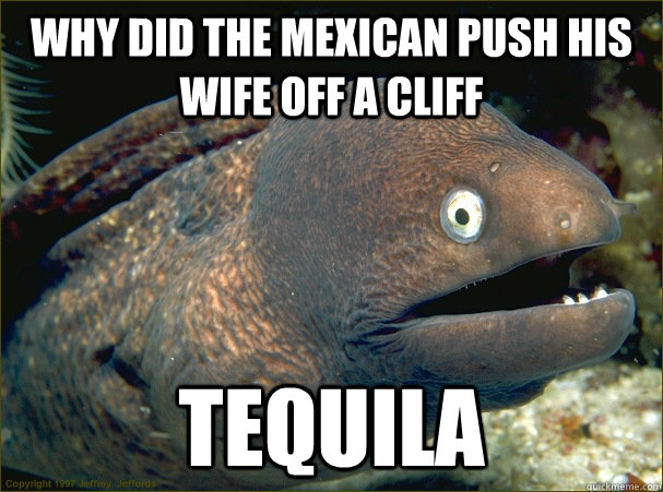 why did the mexican push his wife off a cliff tequila  Bad Joke Eel