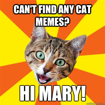 Can't find any cat memes? Hi Mary!  Bad Advice Cat