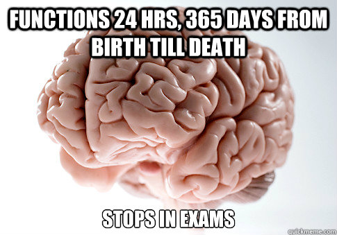 FUNCTIONS 24 HRS, 365 DAYS FROM BIRTH TILL DEATH STOPS IN EXAMS   Scumbag Brain