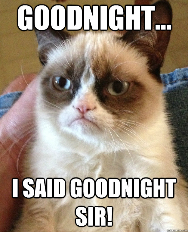 Goodnight... I said GOODNIGHT sir!  Grumpy Cat