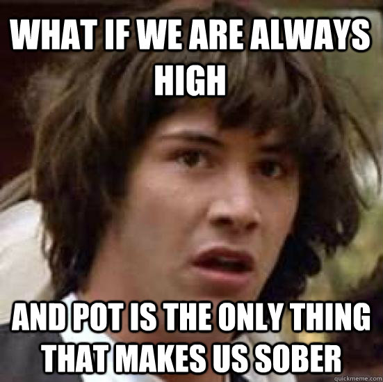 What if we are always high and pot is the only thing that makes us sober  conspiracy keanu