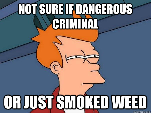 Not sure if dangerous criminal or just smoked weed - Not sure if dangerous criminal or just smoked weed  Futurama Fry