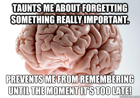 Taunts me about forgetting something really important. Prevents me from remembering until the moment it's too late!
  Scumbag Brain