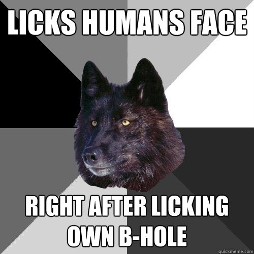 licks humans face right after licking own b-hole  Sanity Wolf