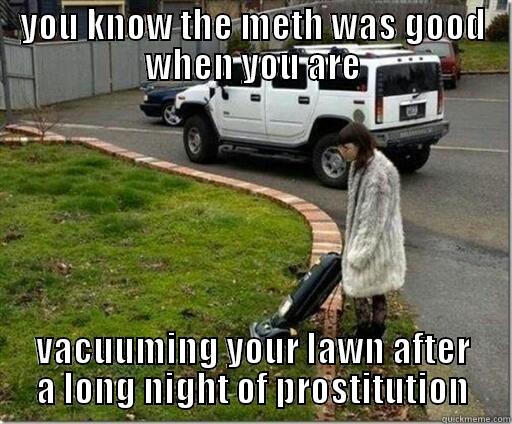 YOU KNOW THE METH WAS GOOD WHEN YOU ARE VACUUMING YOUR LAWN AFTER A LONG NIGHT OF PROSTITUTION Misc