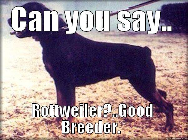 CAN YOU SAY.. ROTTWEILER?..GOOD BREEDER.  Misc